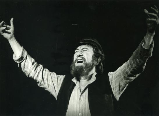 Hegedűs a háztetőn, Operettszínház